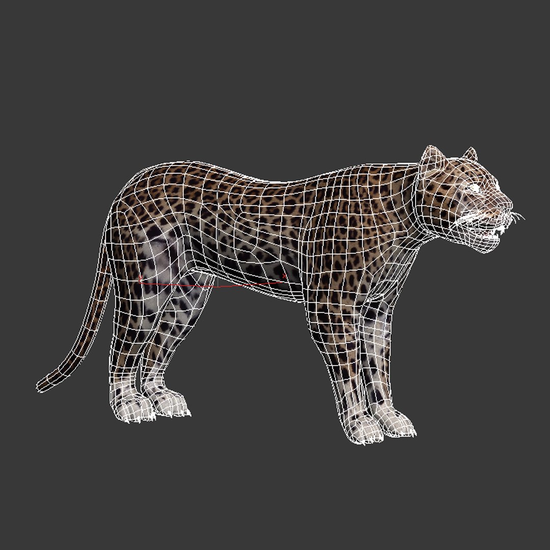 3d model leopard animation https://p.turbosquid.com/ts-thumb/dR/bC1Qym/VeEftjzM/13/jpg/1320946328/1920x1080/fit_q87/6cca4b20f7a98f34ed60c0c76b483d59f218764e/13.jpg