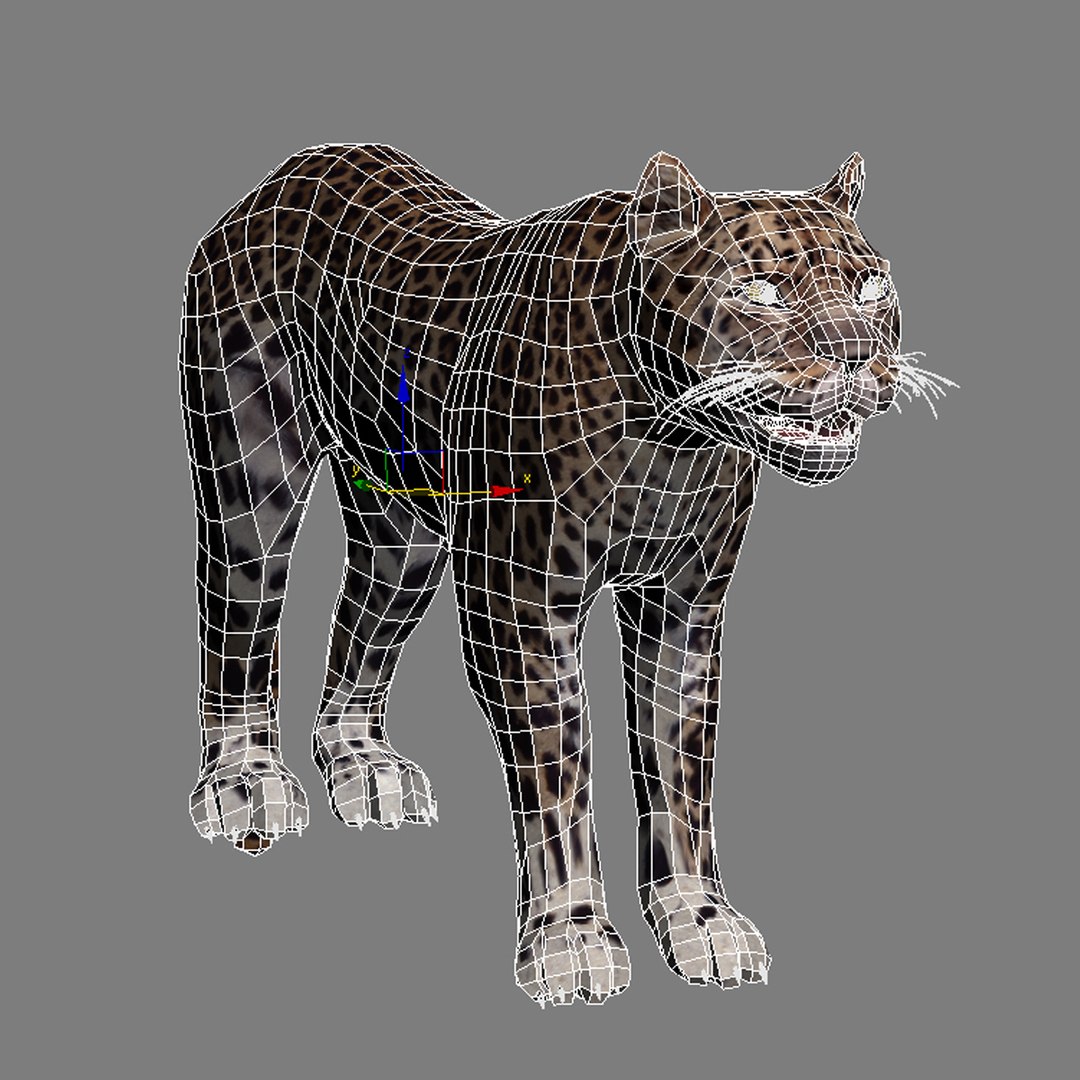 3d model leopard animation https://p.turbosquid.com/ts-thumb/dR/bC1Qym/sluQ7wJ8/09/jpg/1320946328/1920x1080/fit_q87/88377bce2e8a0b7b03c9b454da13e971e87646af/09.jpg