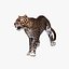 Leopard(1)