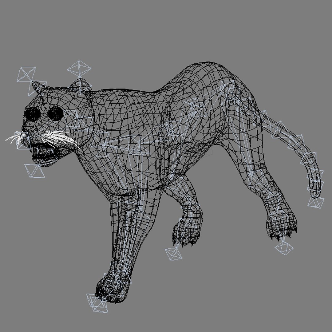3d model leopard animation https://p.turbosquid.com/ts-thumb/dR/bC1Qym/uuWk5hD6/11/jpg/1320946328/1920x1080/fit_q87/3f46c1e3345ee56535f56ca58ed15a3409fcdf92/11.jpg