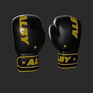 Boxing Gloves And Gear 3D model
