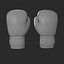 Guantoni Da Boxe E Attrezzi