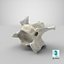 Domestic Cat Cervical Vertebrae C3