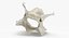 Domestic Cat Cervical Vertebrae C3