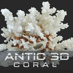 Coral sea