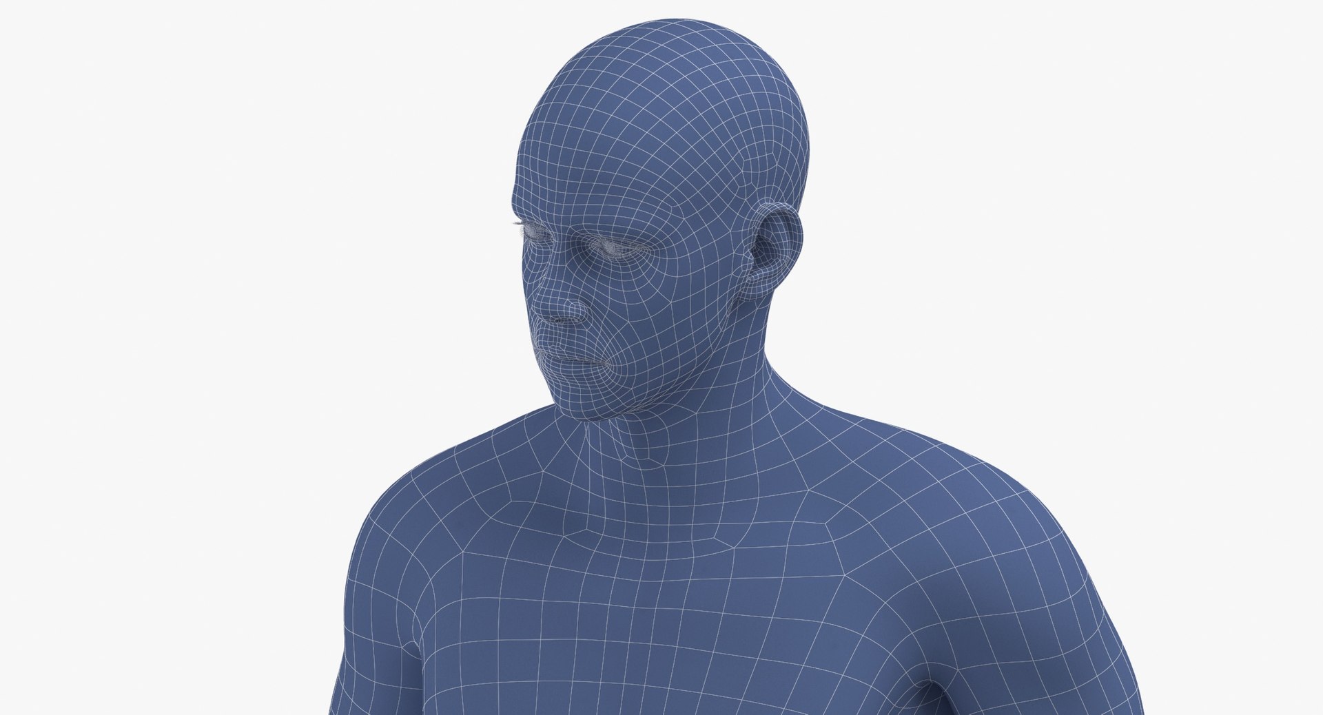 male human body idle 3D model https://p.turbosquid.com/ts-thumb/dR/tgxTjA/UzaCN4uG/male_human_body_idle_pose_wireframe_0007/jpg/1589886466/1920x1080/fit_q87/47e1718fcd5df8d0616ba87abc3bfe8b7e1ee008/male_human_body_idle_pose_wireframe_0007.jpg
