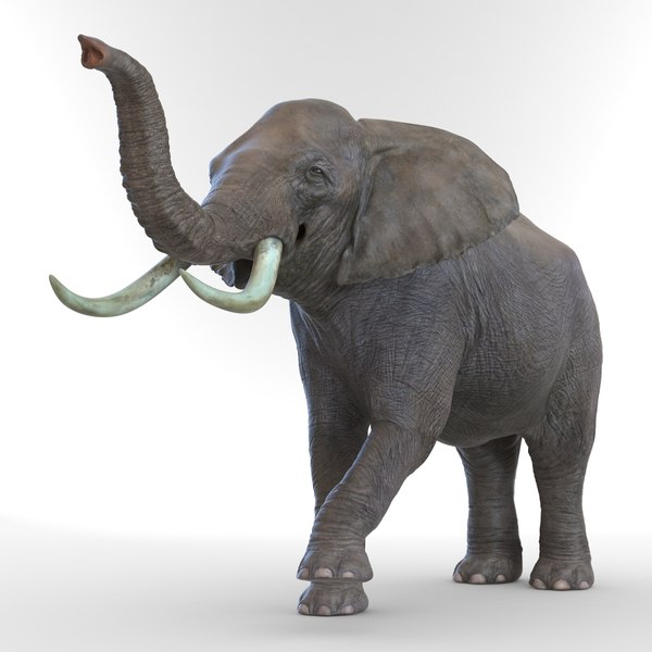 elephant rigged 3d model