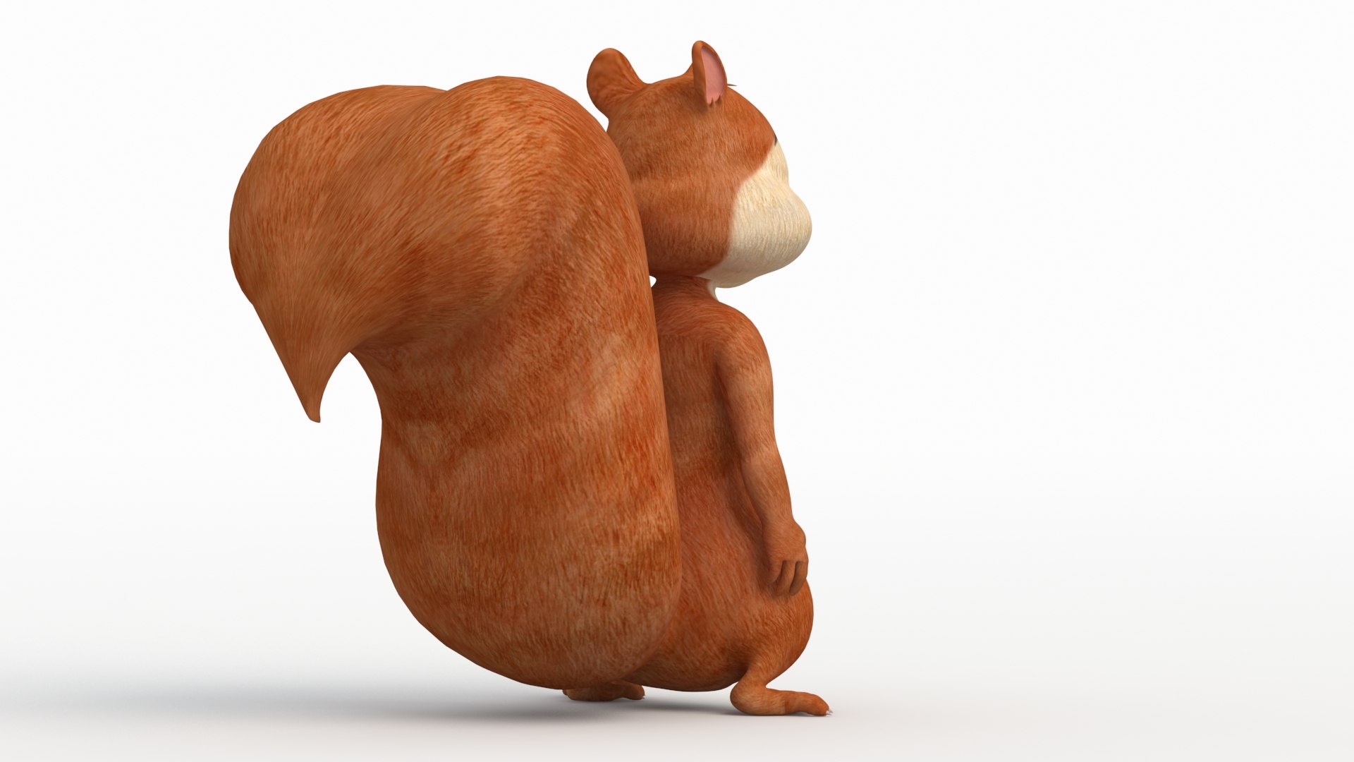3D Squirrel model https://p.turbosquid.com/ts-thumb/dS/1EyY6l/a4/squirrel_0007/jpg/1648590897/1920x1080/fit_q87/cd5858578b8d7cd6994446250336ea1d88e576a9/squirrel_0007.jpg