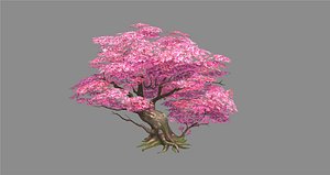 A peach blossom tree - big - Cherry blossom trees - sakura 3D model
