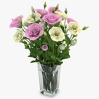 Eustoma Colorful 02