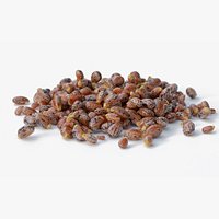 Caster Seeds