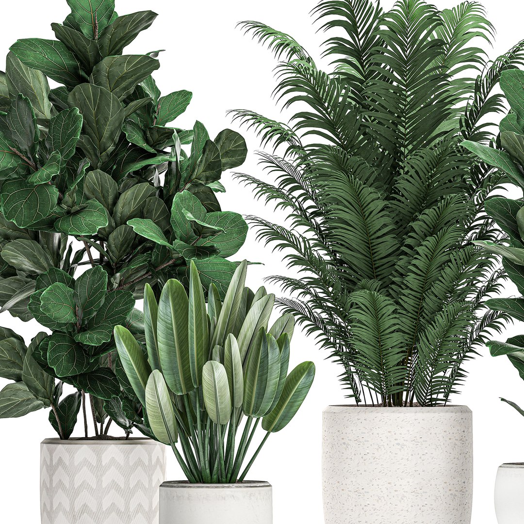 Plants white pots interior 3D model - TurboSquid 1538952