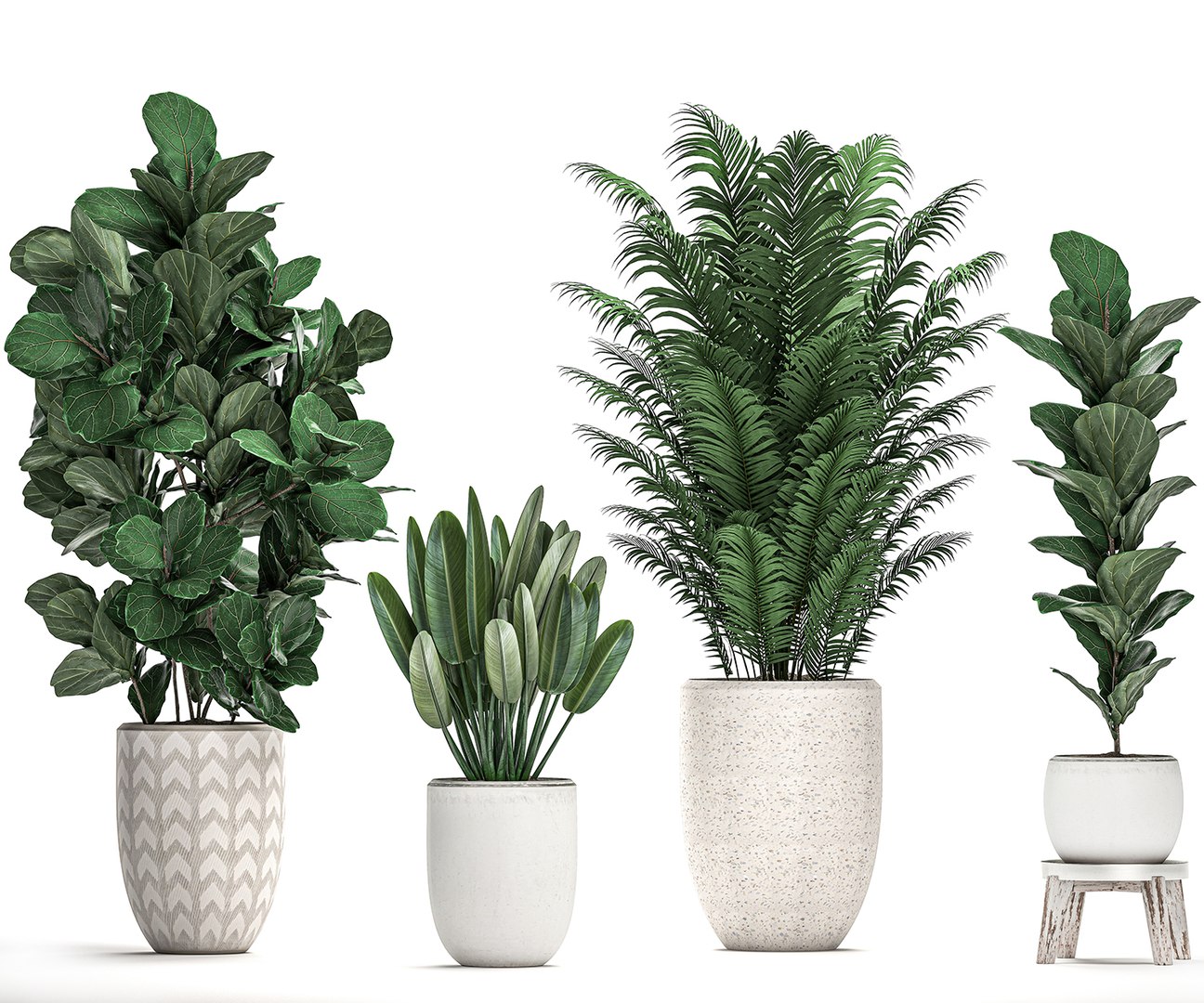 Plants white pots interior 3D model - TurboSquid 1538952