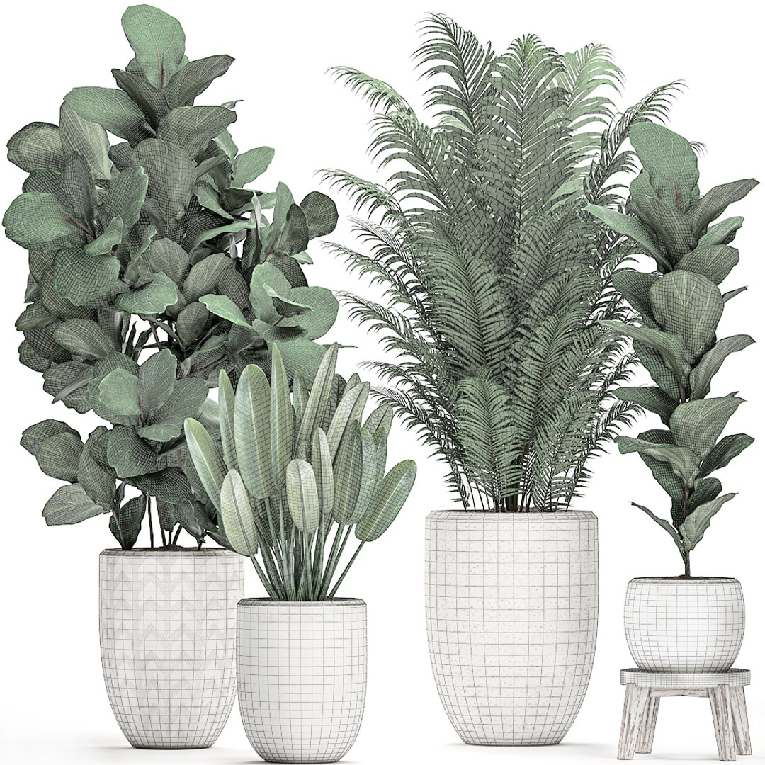 Plants white pots interior 3D model - TurboSquid 1538952