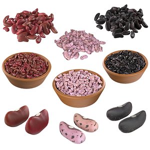 Kidney Bean Collection 3D model
