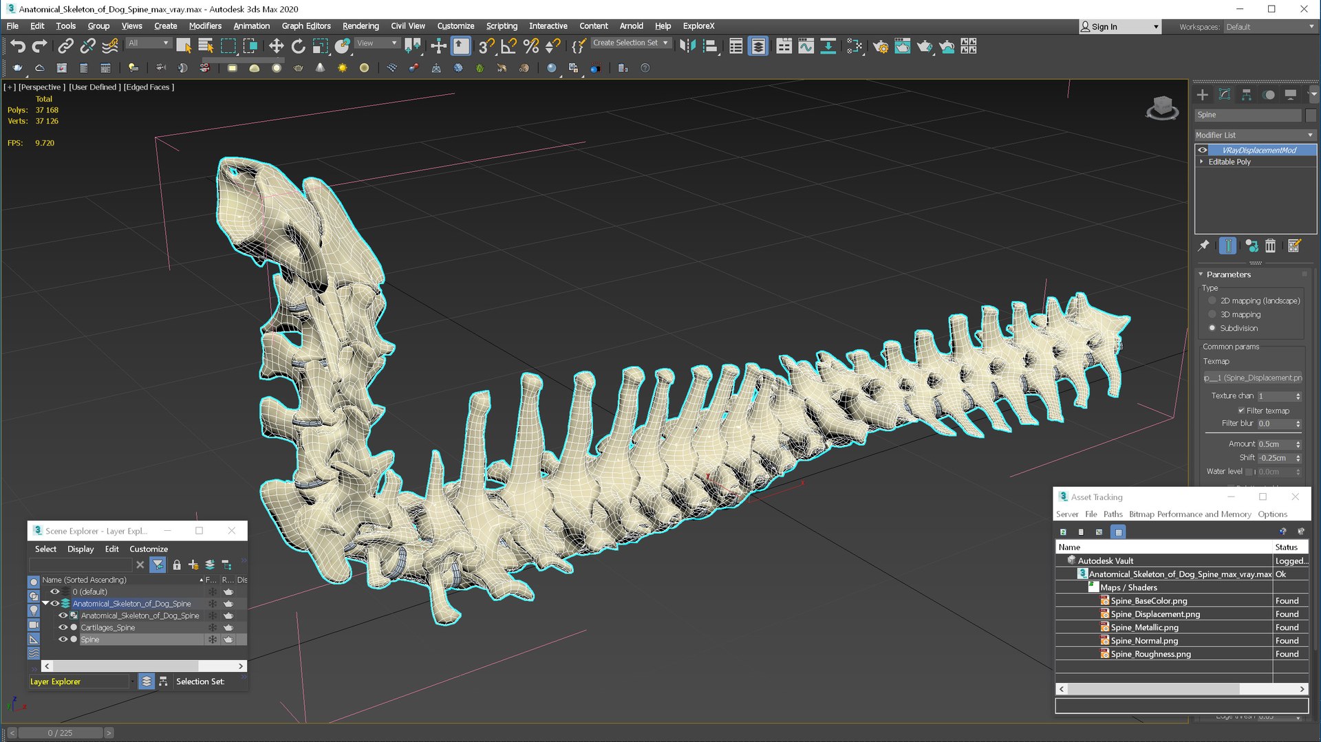 Anatomical Skeleton of Dog Spine 3D model https://p.turbosquid.com/ts-thumb/dS/mosGTv/AX/anatomical_skeleton_of_dog_spine_017/jpg/1746066054/1920x1080/fit_q87/4da23621c96cefb770b19cf652566af943056627/anatomical_skeleton_of_dog_spine_017.jpg