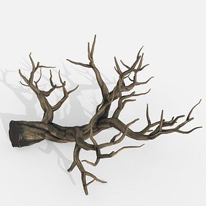 3D model Aquarium Snag V22