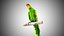 red green parrot 3D model