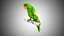 red green parrot 3D model