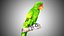 red green parrot 3D model