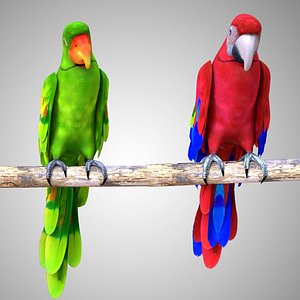 Red Parrot Green Parrot Rigged Low Poly