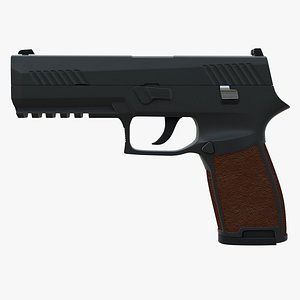 Gun SIG Sauer