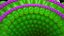 Tobacco mosaic virus