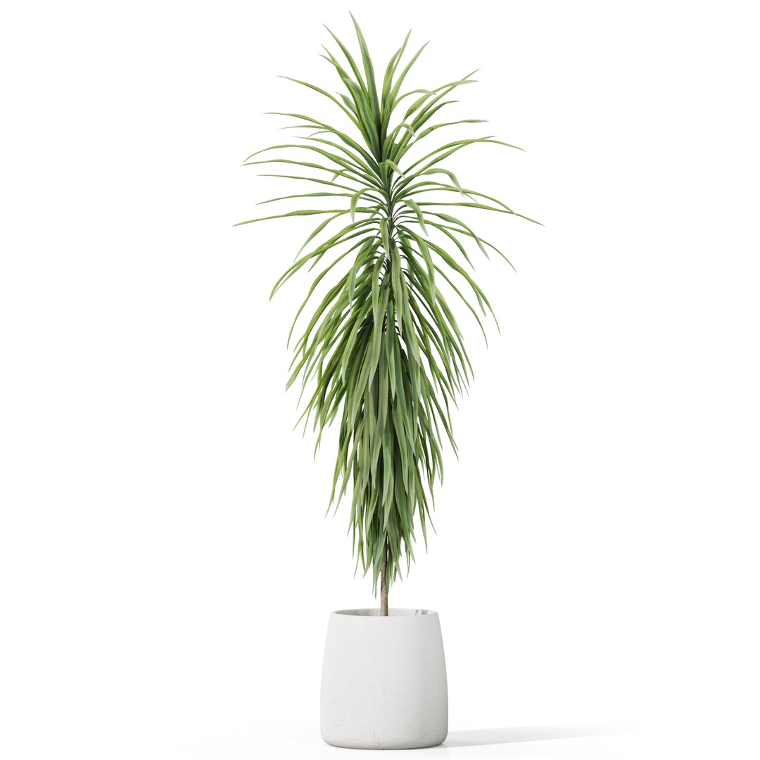 3D model Plants collection 1035 https://p.turbosquid.com/ts-thumb/dT/Z8Ar39/xt/plant_1035_01/jpg/1706004826/1920x1080/fit_q87/494ce7173200478e6c46b563868cdf995826ed96/plant_1035_01.jpg