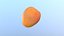 Apricot 04 LOW Poly 3D-Modell