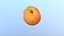 Apricot 04 LOW Poly 3D-Modell