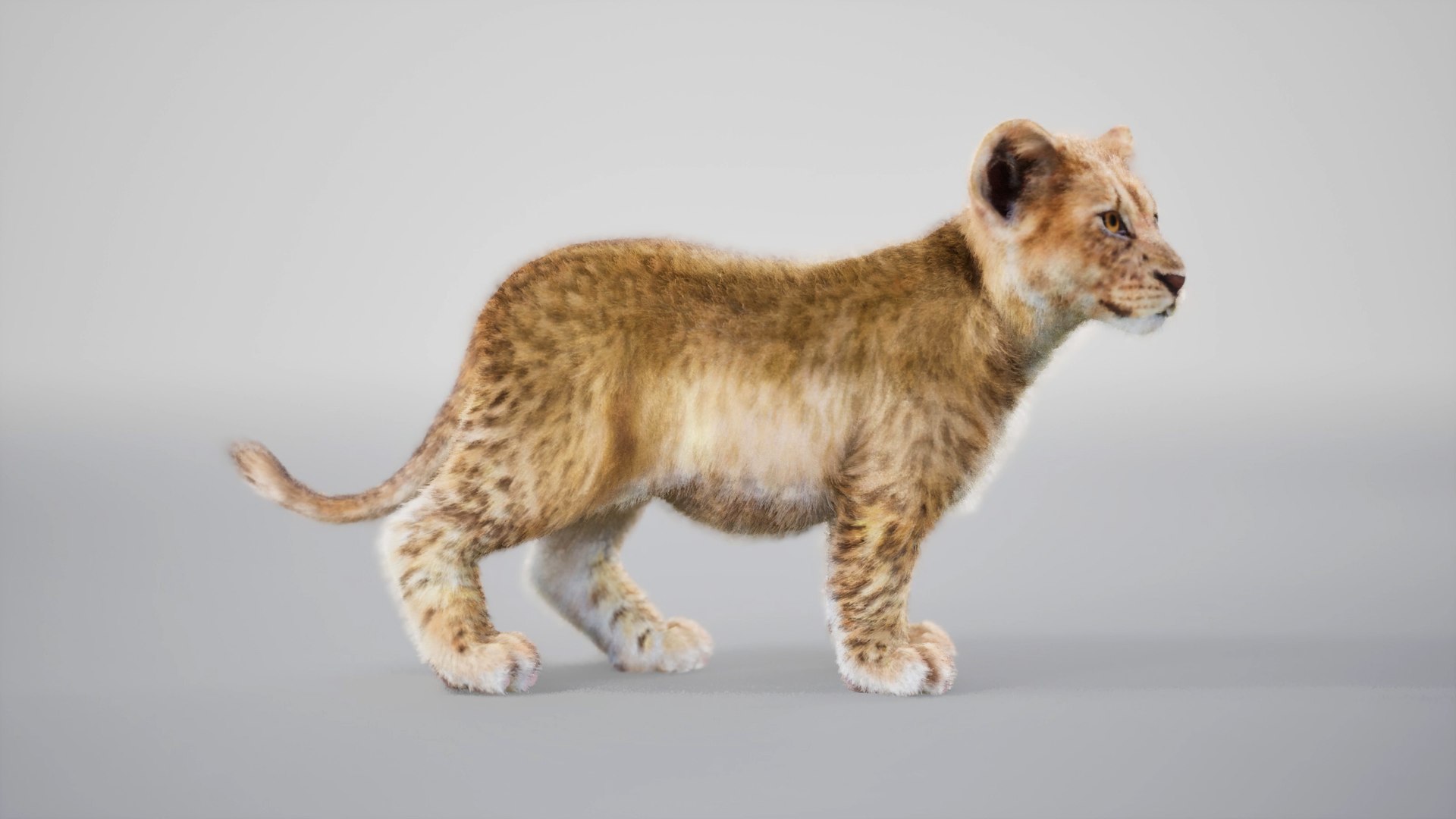 Lion Cub Rig UNREAL Project Plus Maya Base Rig Model - TurboSquid 2341957