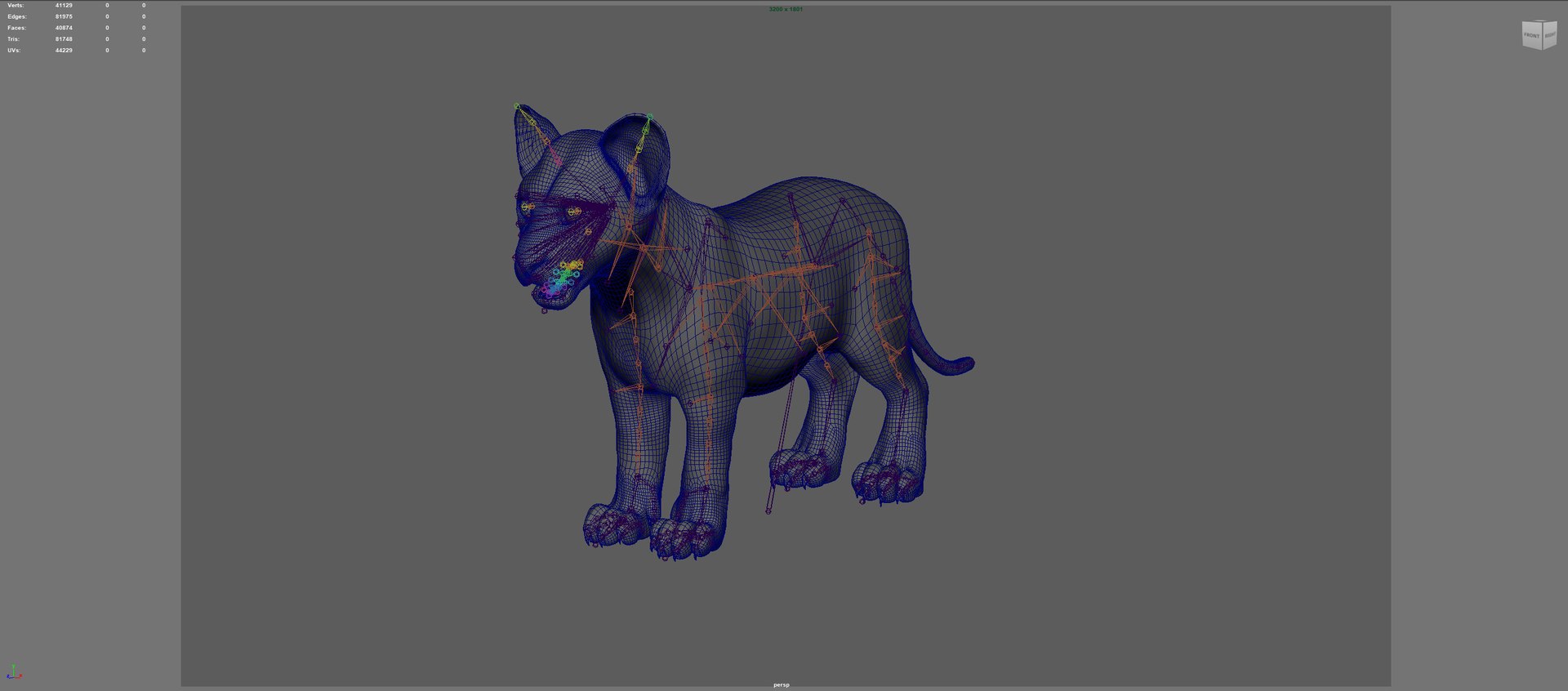 Lion Cub Rig UNREAL Project Plus Maya Base Rig Model - TurboSquid 2341957