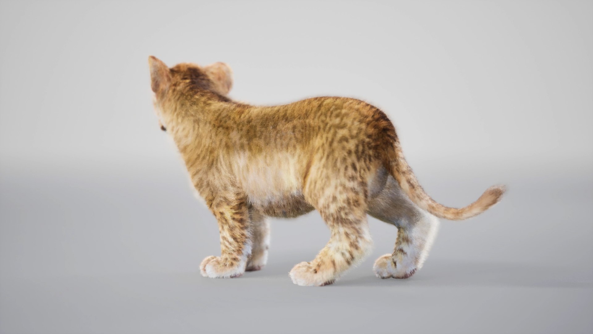 Lion Cub Rig UNREAL Project Plus Maya Base Rig Model - TurboSquid 2341957
