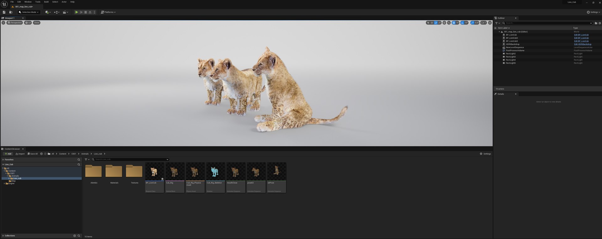 Lion Cub Rig UNREAL Project Plus Maya Base Rig Model - TurboSquid 2341957