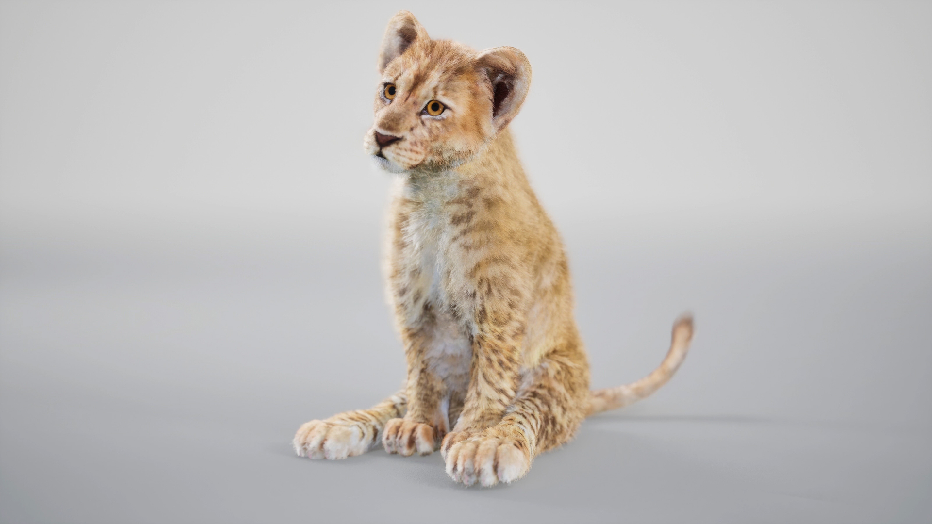 Lion Cub Rig UNREAL Project Plus Maya Base Rig Model - TurboSquid 2341957