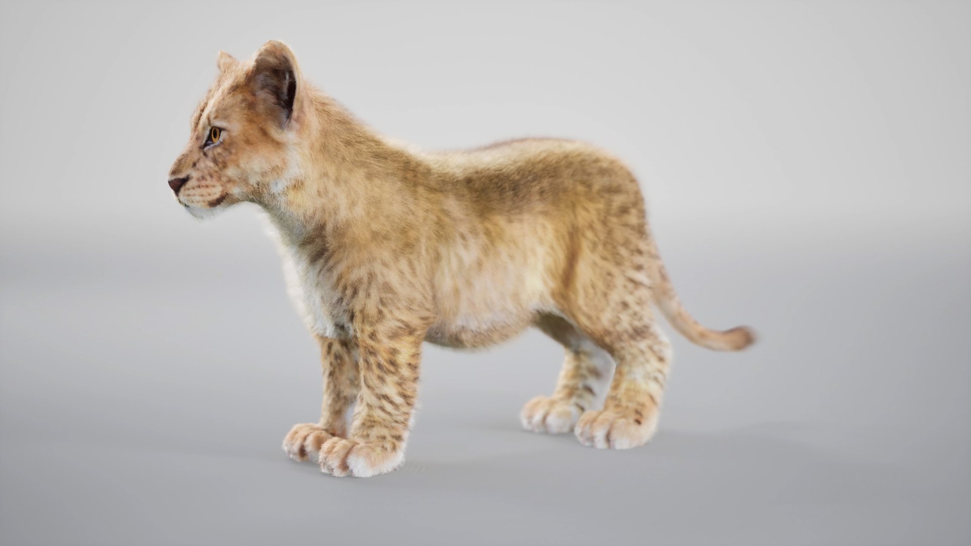 Lion Cub Rig UNREAL Project Plus Maya Base Rig Model - TurboSquid 2341957