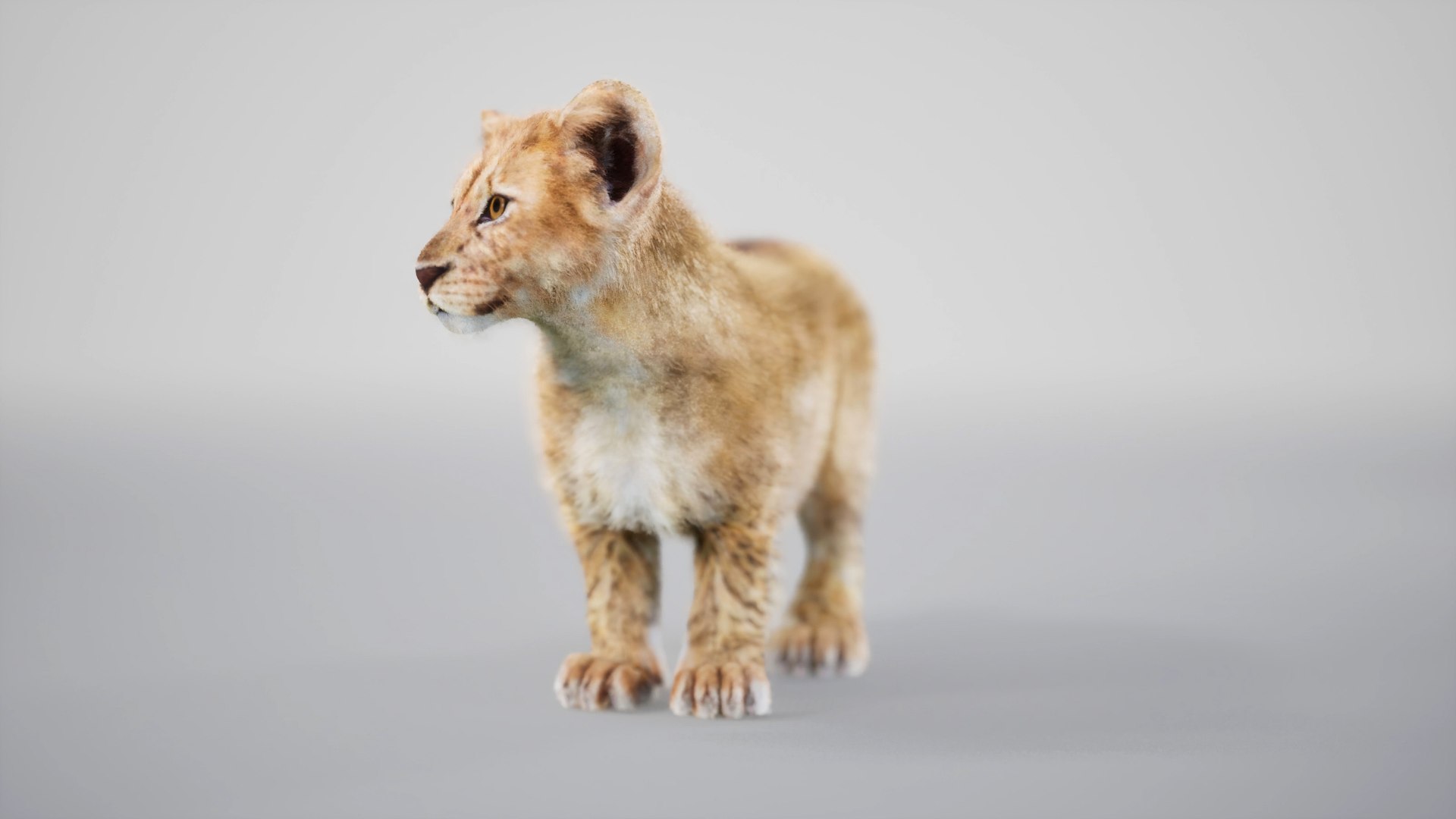 Lion Cub Rig UNREAL Project Plus Maya Base Rig Model - TurboSquid 2341957