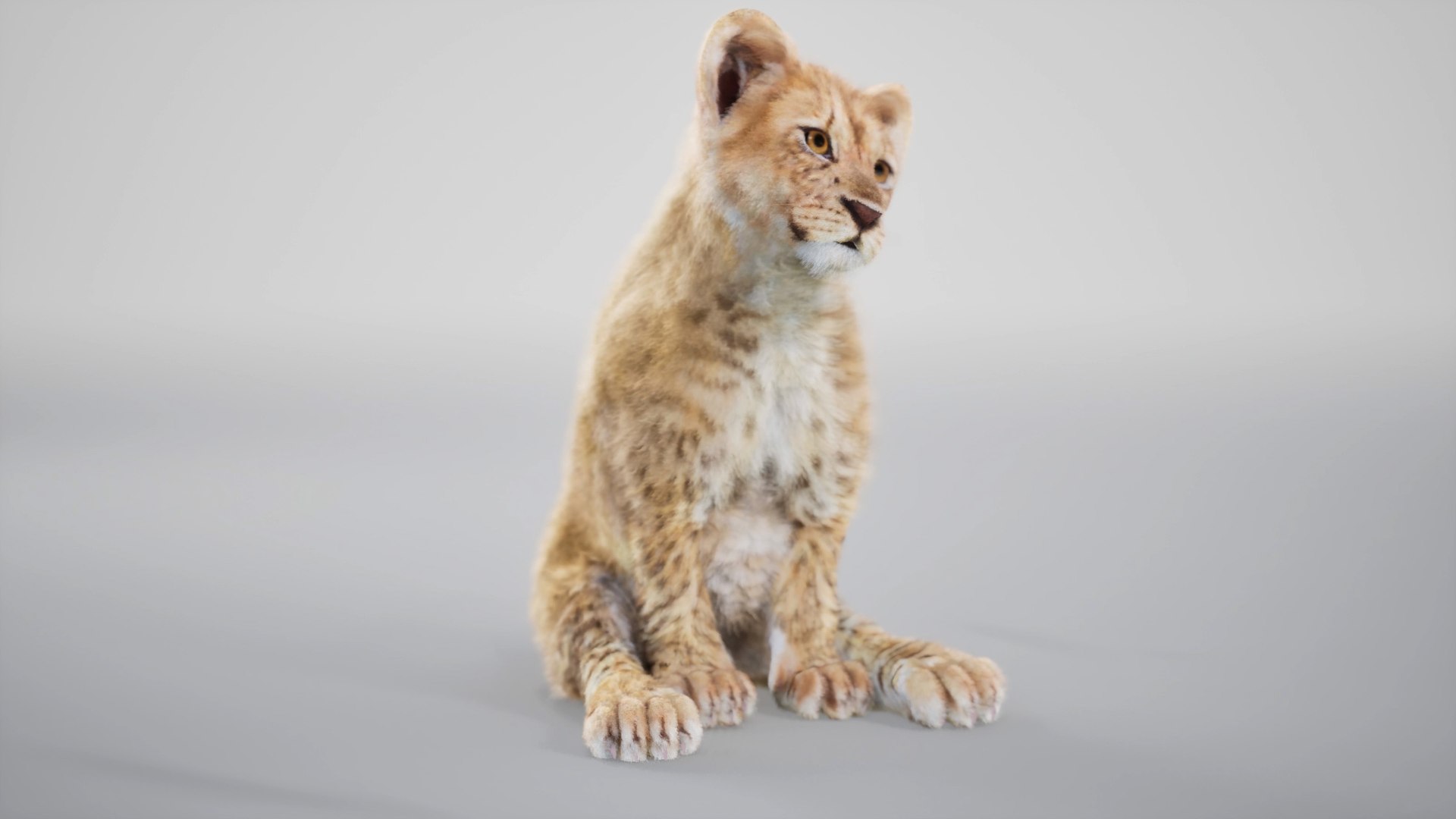 Lion Cub Rig UNREAL Project Plus Maya Base Rig Model - TurboSquid 2341957