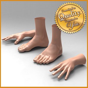 3d human male feet hand model