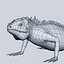 Iguana_Tarantula
