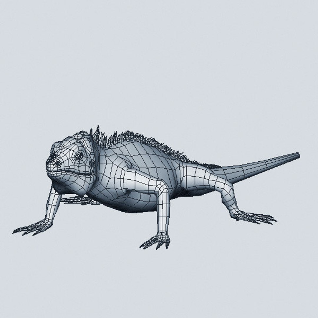 3D iguana tarantula https://p.turbosquid.com/ts-thumb/dU/4W2u3H/jw5I7SIj/07/jpg/1539876398/1920x1080/fit_q87/50ac75fe6dc3b40de2ff6350996c4fa96f5e119a/07.jpg