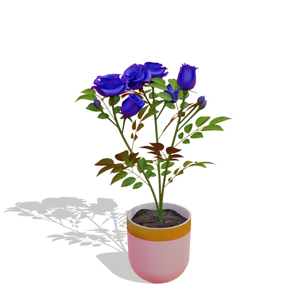 3D Small Rose Plant https://p.turbosquid.com/ts-thumb/dU/E8FPTr/6n/untitled20000copy/png/1684523409/1920x1080/fit_q87/72602141301b2168abe1f65ef947e7bf26d49f93/untitled20000copy.jpg
