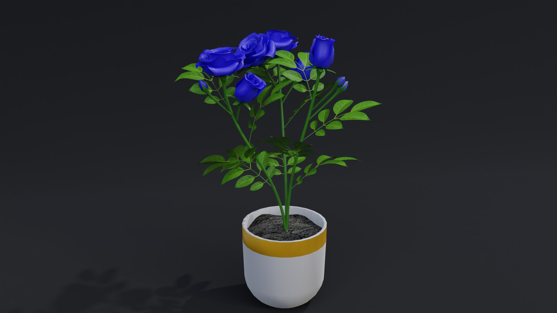 3D Small Rose Plant https://p.turbosquid.com/ts-thumb/dU/E8FPTr/Cp/02untitled/png/1684523385/1920x1080/fit_q87/2a4c3ac8929cb35557d20906c81e58c548d6555c/02untitled.jpg