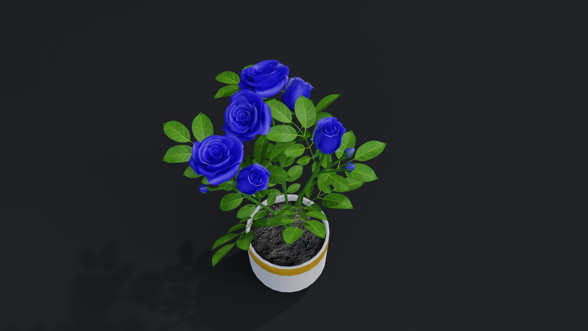 3D Small Rose Plant https://p.turbosquid.com/ts-thumb/dU/E8FPTr/uP/01untitled/png/1684523380/1920x1080/fit_q87/989e095ced330215c7d24c18c12caba26e5ede7a/01untitled.jpg