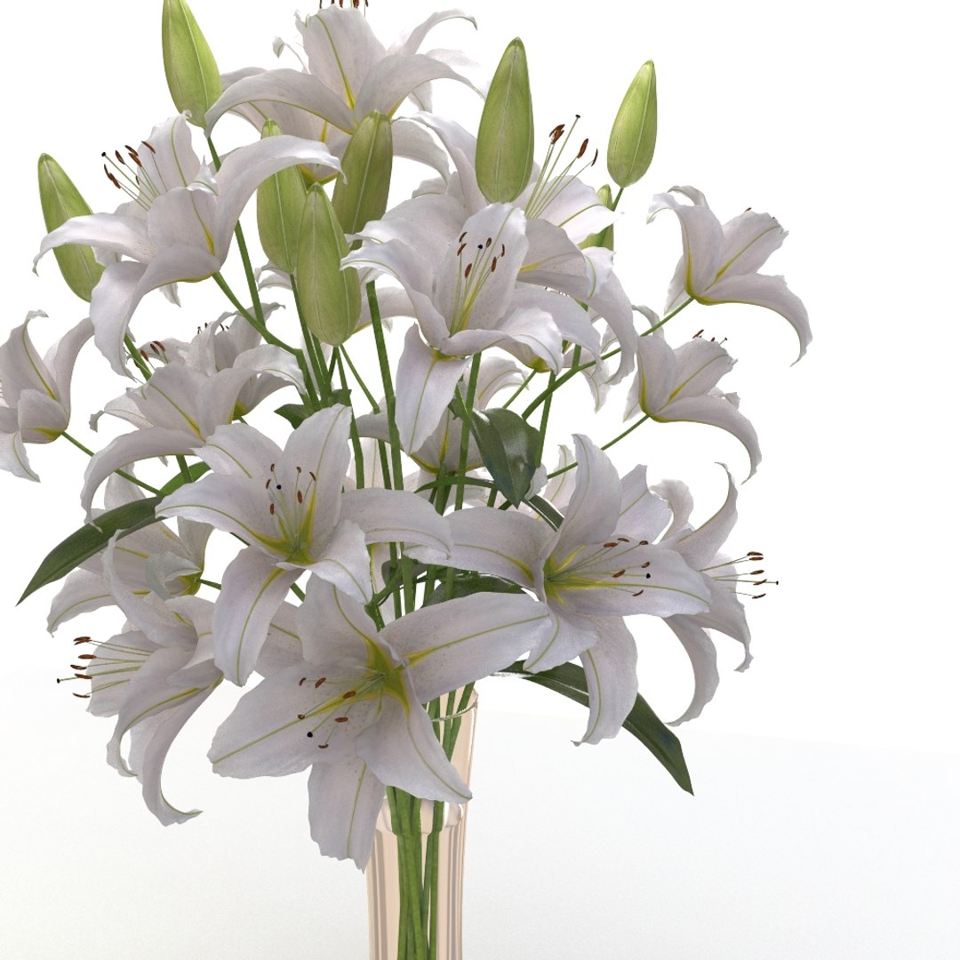 Lily Flower Vase 3d Model