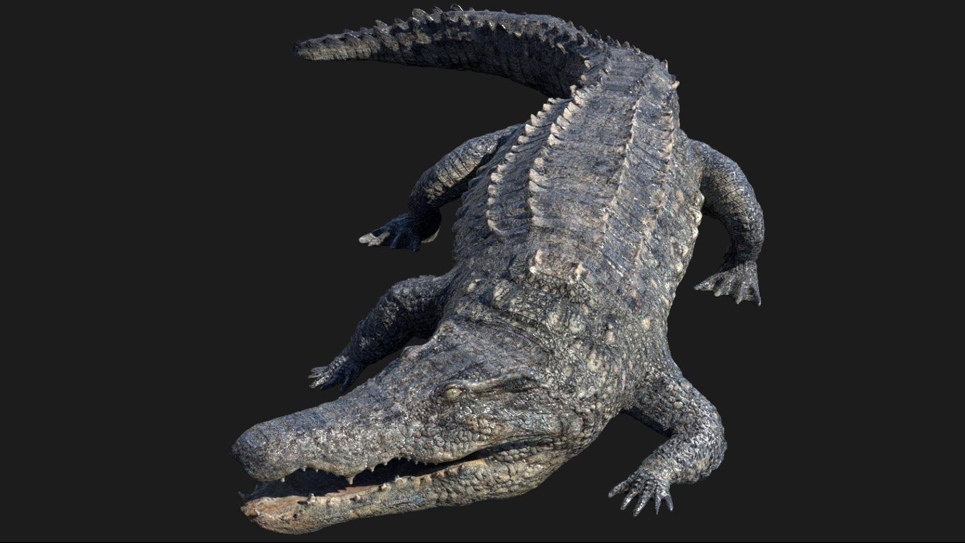 3D Crocodile Rigged 3D https://p.turbosquid.com/ts-thumb/dU/fHc0PL/2F/02/jpg/1761194845/1920x1080/fit_q87/252fab16db85b00eb5cd50400d6ab1a56c7def82/02.jpg
