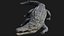 3D Crocodile Rigged 3D