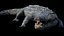 3D Crocodile Rigged 3D