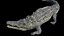3D Crocodile Rigged 3D