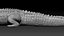 3D Crocodile Rigged 3D